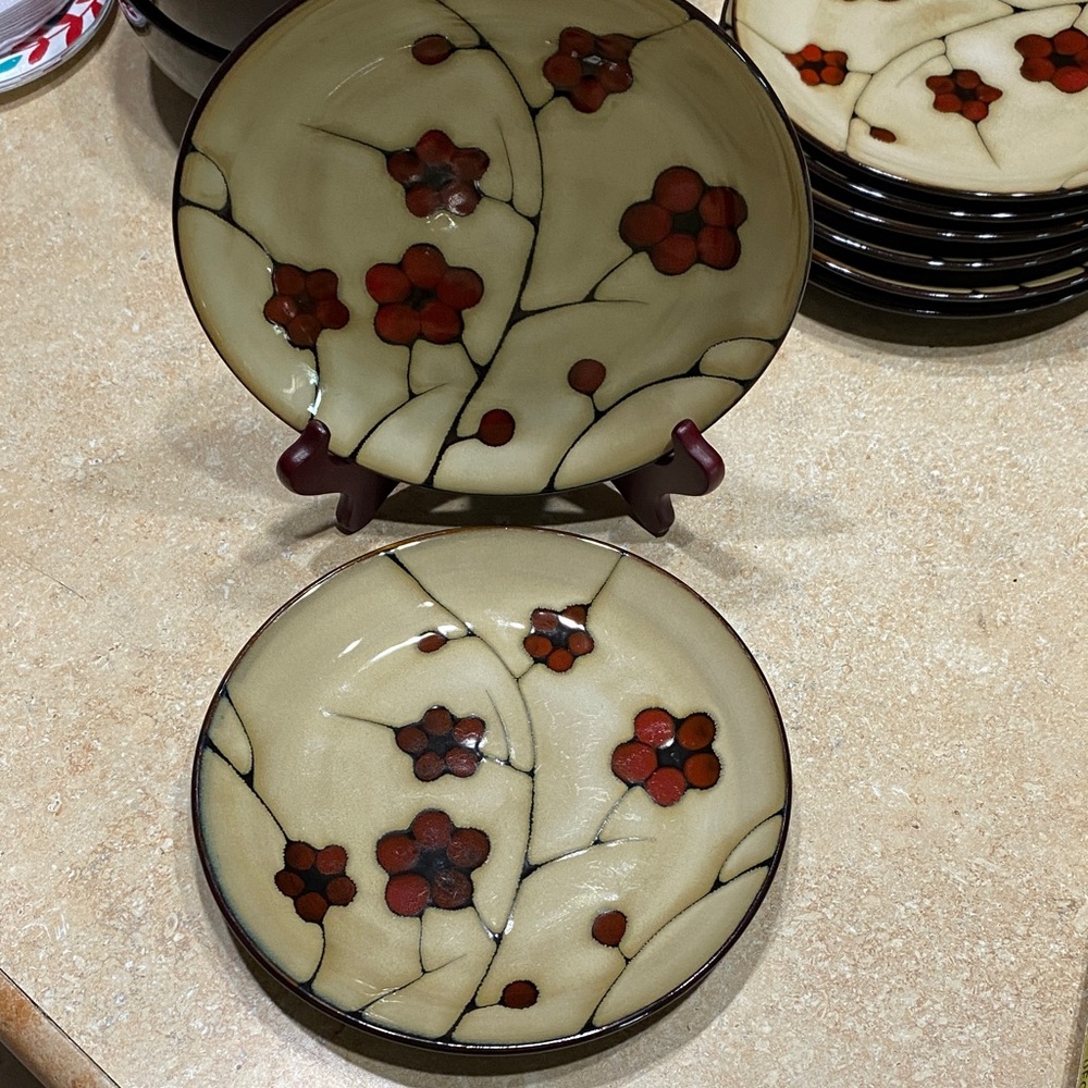 Pfaltzgraff Studio ASTER 8¼" Salad Plates Stoneware Red Poppies Set of 2 Retired